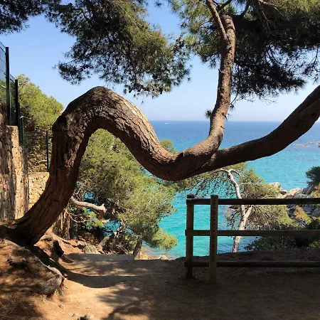 Apartment Excepcional 1ª Linea De Mar Elypalace 10-2 *